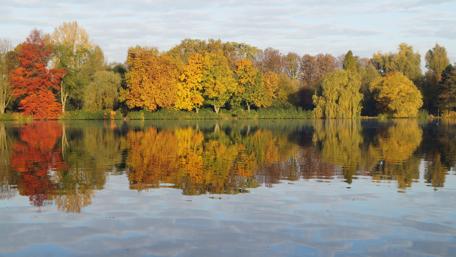 Vibrant Autumn Reflections in Nature's Mirror wallpaper