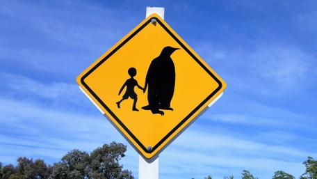 Penguin Crossing Ahead Watch Your Step! wallpaper