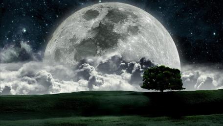 Mystical Moonlit Landscape wallpaper