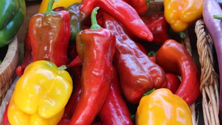 Vibrant Assortment of Peppers and Chilies wallpaper
