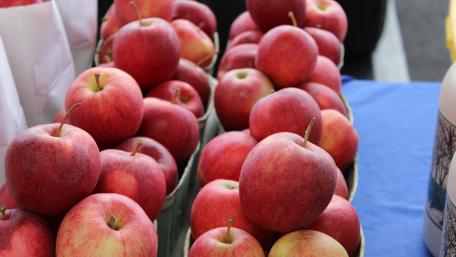 Fresh and Juicy Farm Apples Displayed Beautifully wallpaper