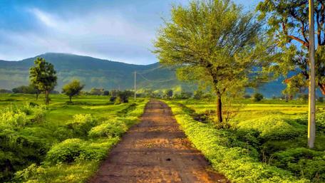 Scenic Pathway Amidst Verdant Landscapes wallpaper