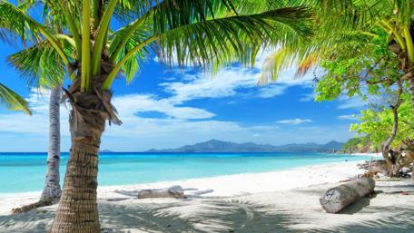 Tropical Beach Serenity wallpaper
