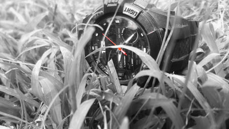 Time in Nature's Embrace wallpaper