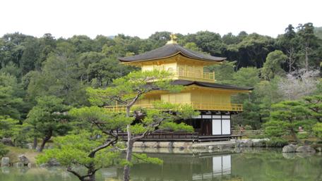 Golden Serenity of Kinkakuji Temple in Kyoto wallpaper