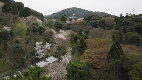 Serene Japanese Landscape with Cherry Blossoms and Lush Foliage wallpaper