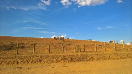 Rural Brazil wallpaper
