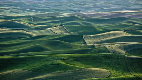 Rolling hills of Washington wallpaper