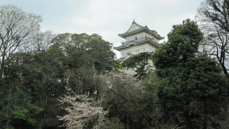 Serene Japanese Castle Among Lush Nature wallpaper