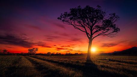Majestic Sunset Over Tranquil Fields wallpaper