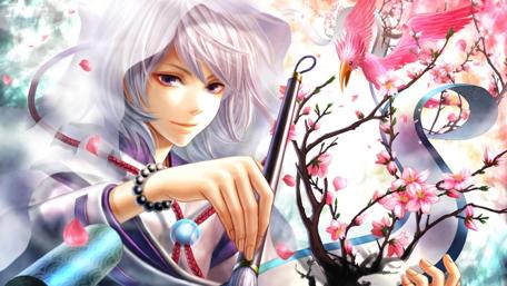 Sakura Dreamscape Anime Art wallpaper