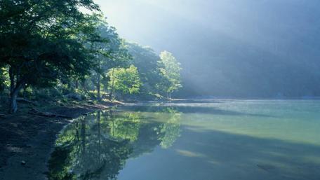 Tranquil Forest Reflection by the Water wallpaper