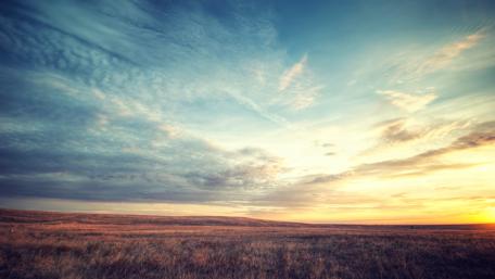 Sunset over the field wallpaper