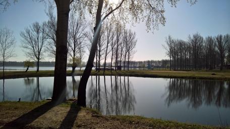 Tranquil Lakeside Reflections in Nature wallpaper