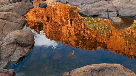 Serene Reflections in Nature's Pool wallpaper