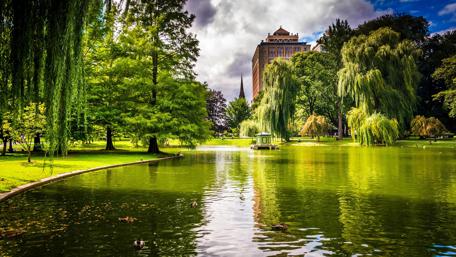 Tranquil Boston Park Oasis wallpaper