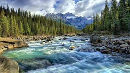 Soothing River Through Alpine Forest and Mountains wallpaper