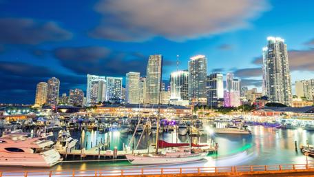 Miami Skyline at Night wallpaper