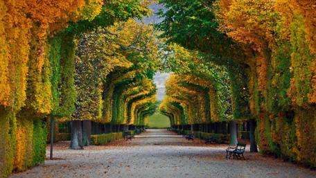 Autumn Serenity in a Park wallpaper