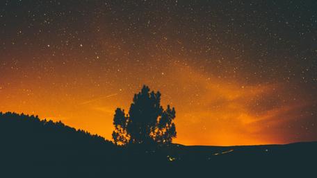 Starlit Serenity Over the Horizon wallpaper