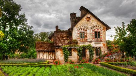 Charming Cottage in Verdant Garden wallpaper