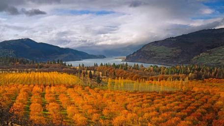 Vibrant Autumn Landscape Above Serene Lake and Mountains wallpaper