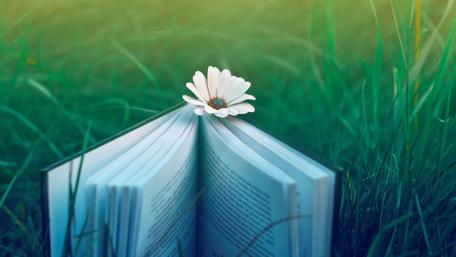 Open Pages of Serenity and Growth wallpaper