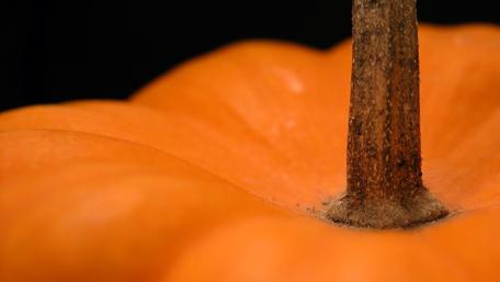 Vibrant Close-Up of a Pumpkin Surface wallpaper