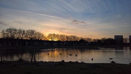 Serene Sunset Over Tranquil Pond with Ducks Swimming wallpaper