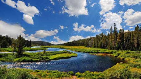 Serene Summer River Under Bright Skies wallpaper