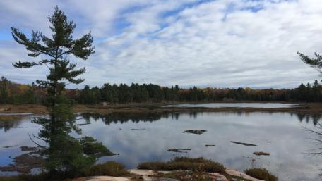 Serene Reflections on a Tranquil Lake wallpaper