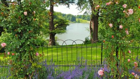 Serene Garden View Surrounded by Nature's Beauty wallpaper