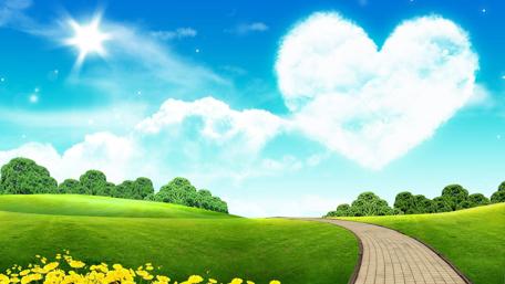 Love in Bloom Under Sunny Skies wallpaper
