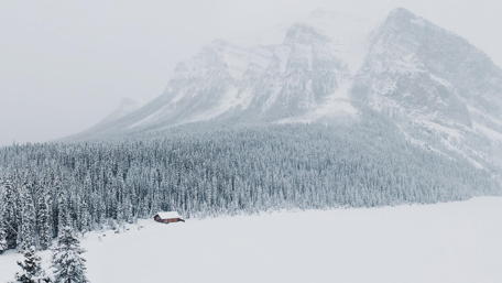 Winter's Embrace in a Foggy Haven wallpaper