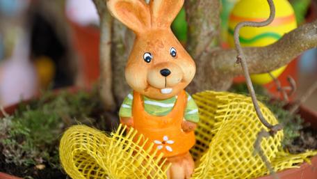 Cheerful Easter Bunny Decor Wallpaper wallpaper