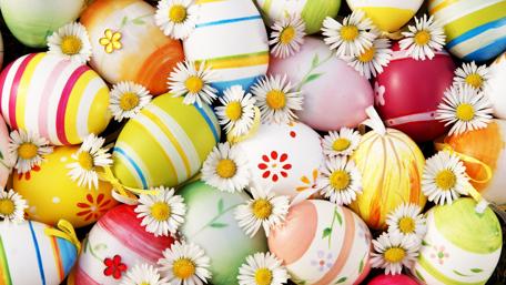 Colorful Easter Eggs and Daisies Wallpaper wallpaper