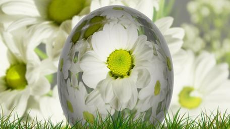 Blooming Easter Joy wallpaper
