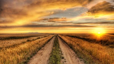 Golden Sunset Pathways Backdrop wallpaper
