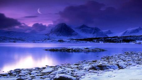 Serene Winter Night Landscape with Moonlight wallpaper