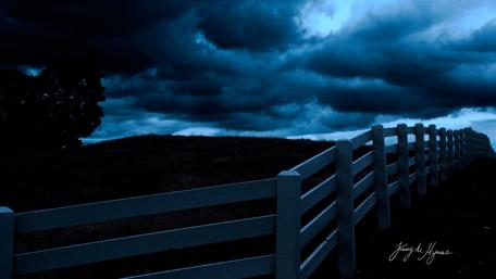 Dark Serenity of Nature wallpaper