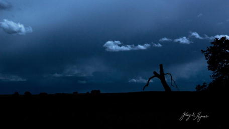 Mystical Twilight Landscape Wallpaper wallpaper