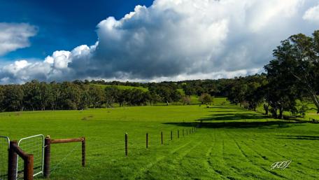 Lush Green Pastures Under Expansive Skies wallpaper