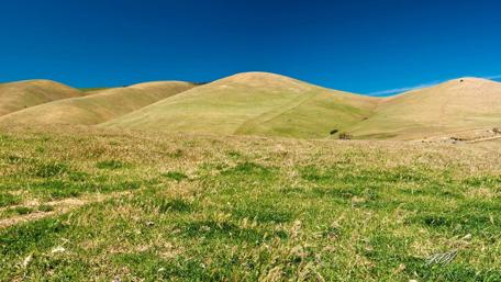 Serene Rolling Hills Under a Clear Blue Sky wallpaper