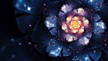 Luminous Floral Core in Midnight Blue wallpaper