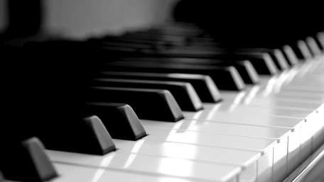 Elegant Monochrome Piano Keys wallpaper
