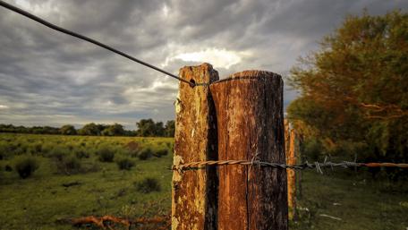 Rustic Beauty of Nature in 4K Quality wallpaper