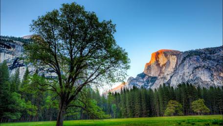 Yosemite Sunrise Splendor in 4K wallpaper