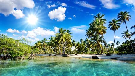 Tropical Summer Escape wallpaper