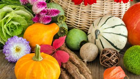 Vibrant Autumn Harvest Display of Pumpkins and Decorations wallpaper