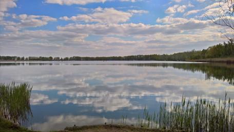 Tranquil Lake Reflections Under a Blue Sky wallpaper